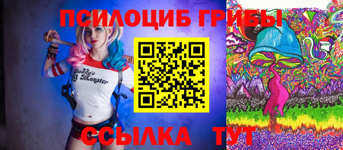 Псилоцибиновые грибы Psilocybine cubensis Отрадный