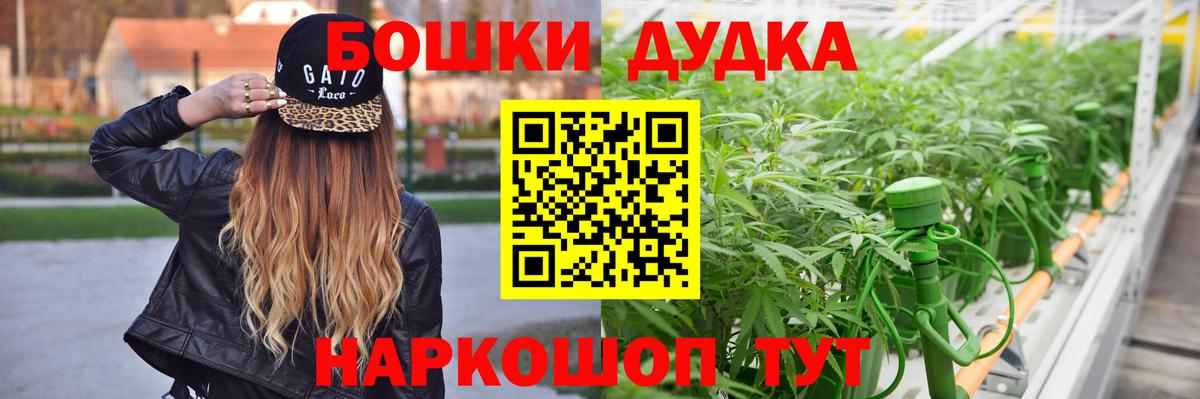 Конопля план Отрадный